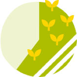 aaa