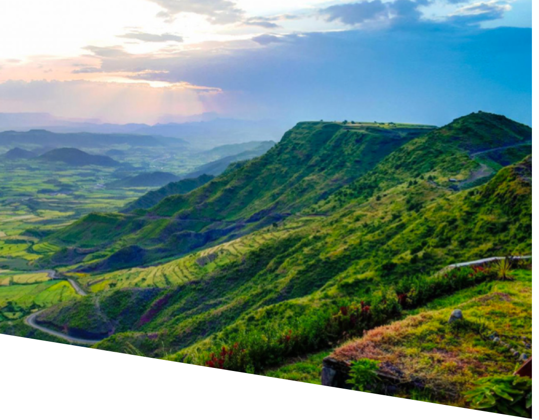 aaa